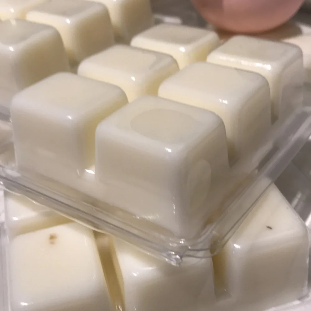 Scents Wax Melts Beach Sand Vibe Salted Seas Hand Crafted Final Sale